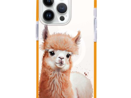 A Alpaca iPhone 15 Pro MagSafe Compatible Ultra Shockproof Case Online